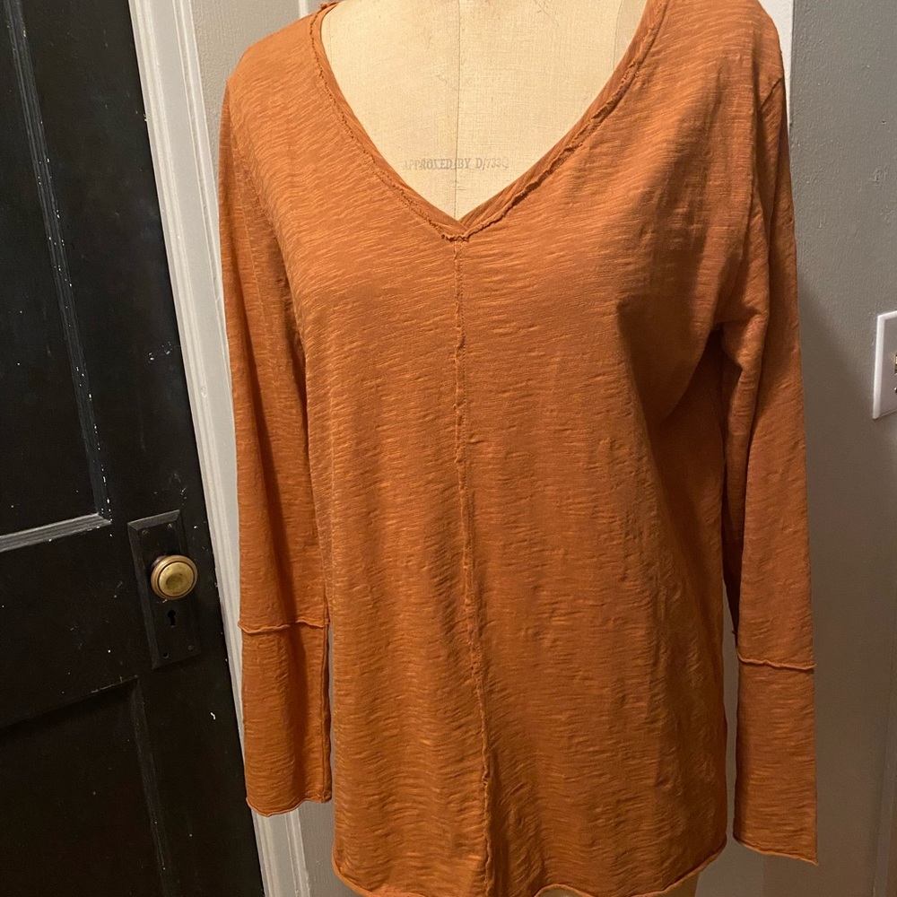 Mododoc Golden Bronze V-Neck Long Sleeve Top